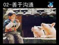 ����鿴
