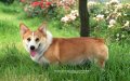 ����鿴