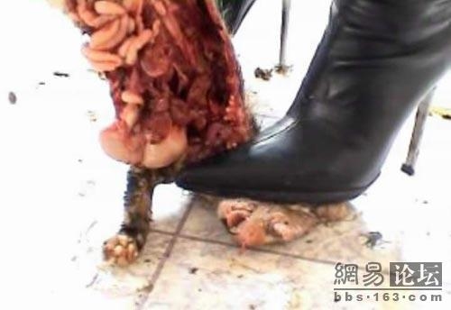又见<em>虐猫女</em> 网友愤怒再次发动人肉搜索_资讯报