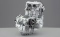 ����鿴
