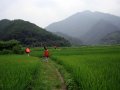 点击查看