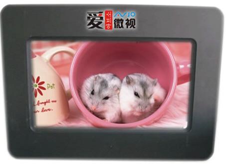 经典记忆典藏 选9英寸爱微视数码相框