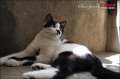 点击查看