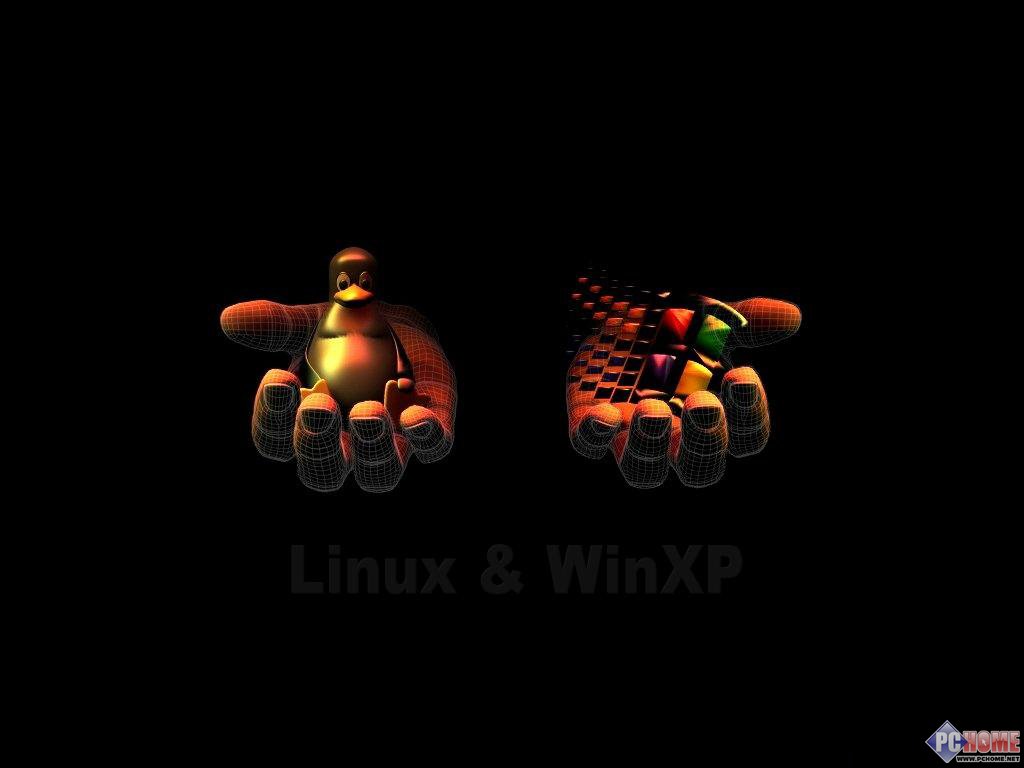 XP主题秀屏保