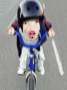 ����鿴