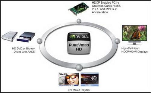 NVIDIA����֮�Ǿ�������֮����˵ӳ̩ƪ