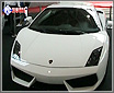 08���ڳ�չ ��������Gallardo����