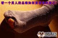 ����鿴