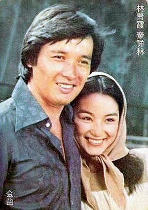 盘点昔日港台女明星的今朝归宿[组图]