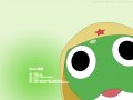 ����鿴