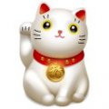 ����鿴