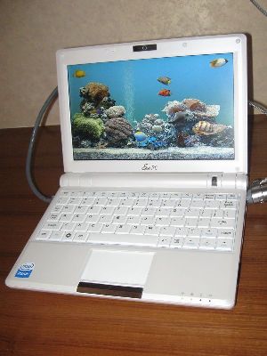 ��˶��������EeePC 900HDֱ��300Ԫ