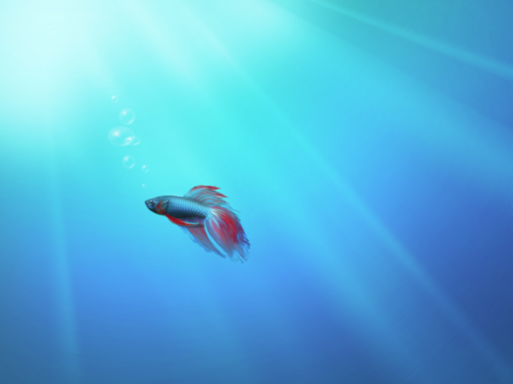Windows 7 Build 6936�±�ֽAqua Fish