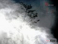 ����鿴