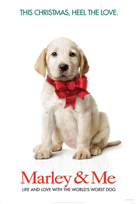 ������Ӱ��ĩƱ������ 12.26 - 12.28