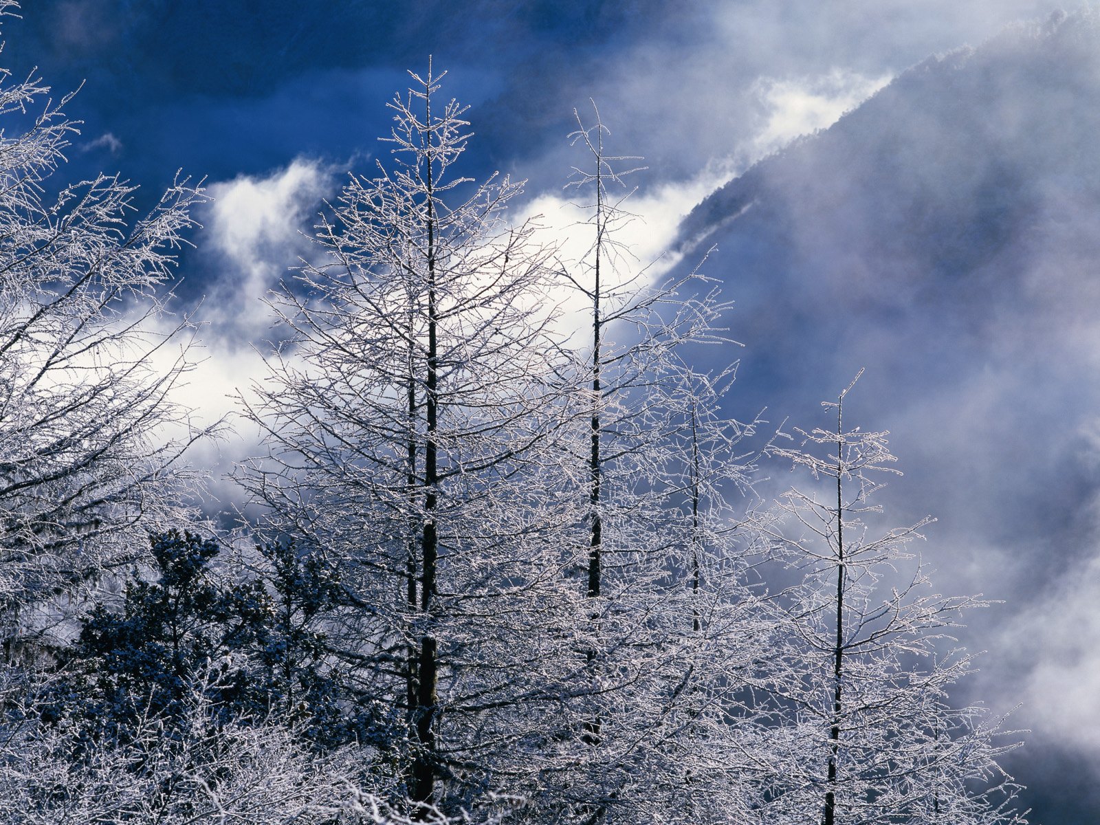 中国著名的风景雪域冬季系列壁纸
