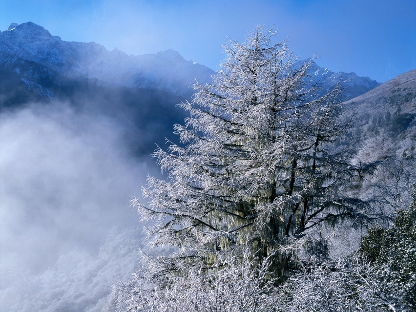 中国名山风光系列之冬天的雪景壁纸