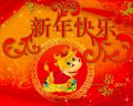 ����鿴