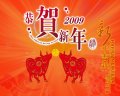 ����鿴