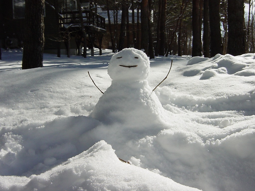 精心收集的雪景壁纸10张