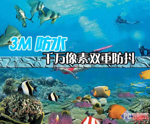��Ӱ���淨 ��ʿ��ˮ���Z33WP����