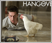 ������The Hangover�������ֽ