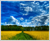 HDR�������������