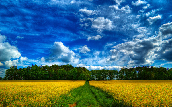 HDR�������������