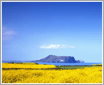 Win7 �ٷ������ֽ ��Ȼ�羰ƪ