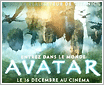 �����ܼ� �ƻþ���Avatar���ְ�Ԥ��