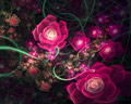 �Ӿ����� ����������Ƹ����ֽ����