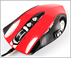 2010���׿�����Ӿ�������������