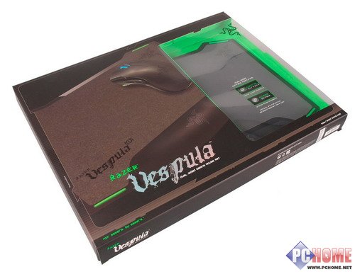 双面神蜂 Razer Vespula黄斑胡蜂详测