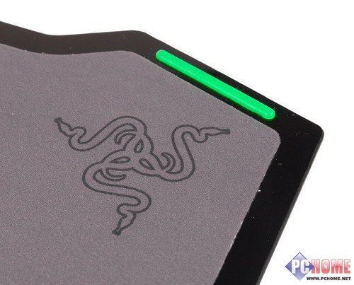 双面神蜂 Razer Vespula黄斑胡蜂详测