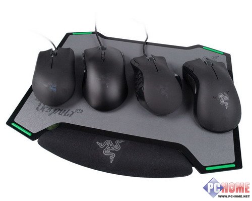 双面神蜂 Razer Vespula黄斑胡蜂详测