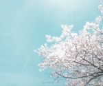 2012��5�����������ֽ��CYWORLD��