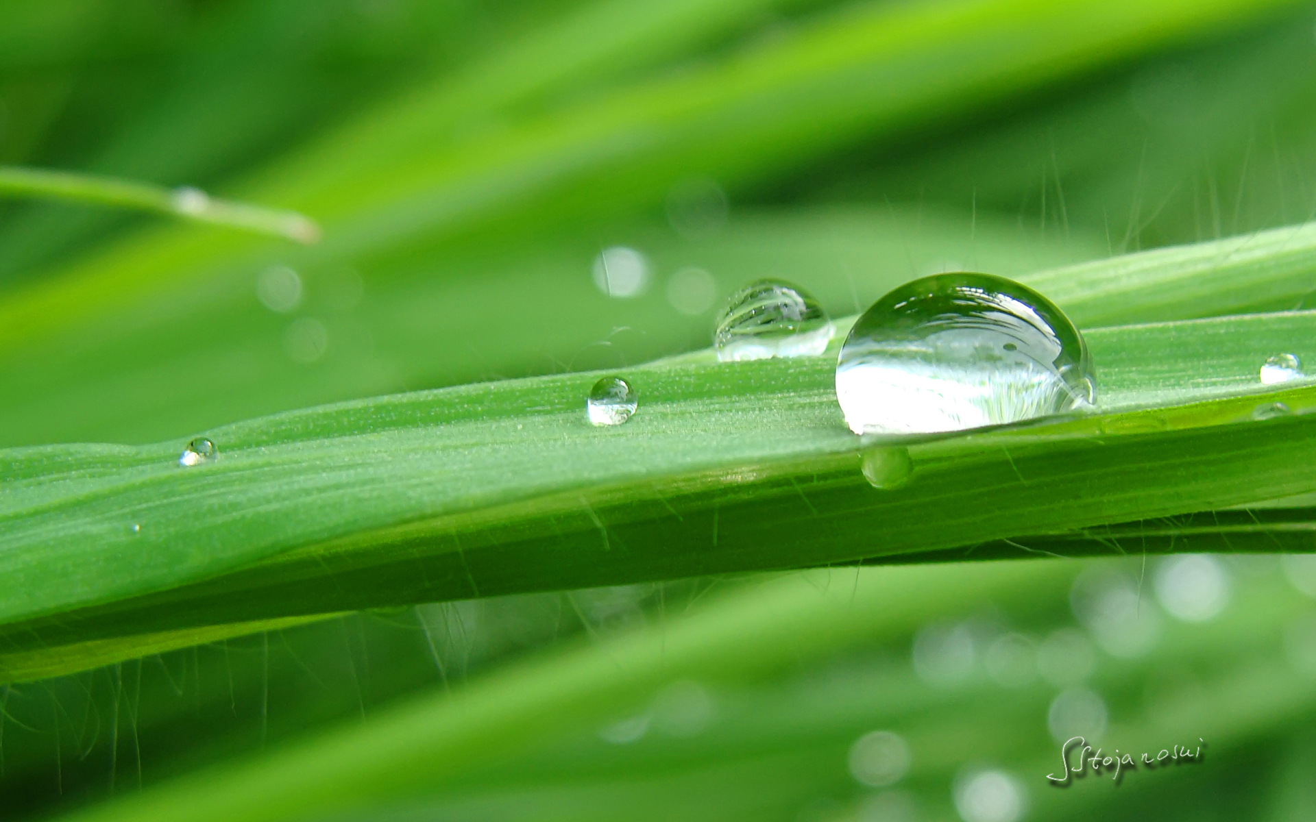雨滴桌面 win8_雨滴桌面win8下载_雨滴桌面官网下载