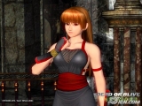 ��DOA ULTIMATE������������ͼ����