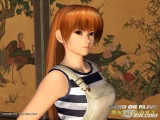 ��DOA ULTIMATE������������ͼ����