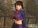 ��DOA ULTIMATE������������ͼ����