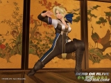 ��DOA ULTIMATE������������ͼ����