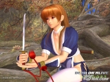 ��DOA ULTIMATE������������ͼ����