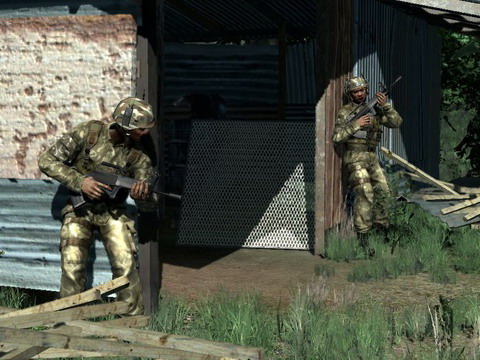 Crysis����