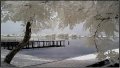 ����鿴