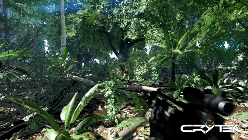 《Crysis》DX9vsDX10对比高清视频
