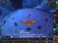 ����鿴