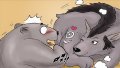 ����鿴