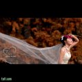 ����鿴