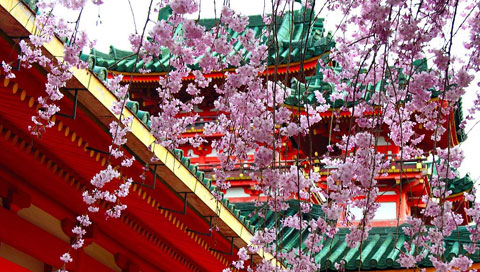 ��ɫ���续����ӣ�� PSP������ֽ