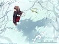 ����鿴